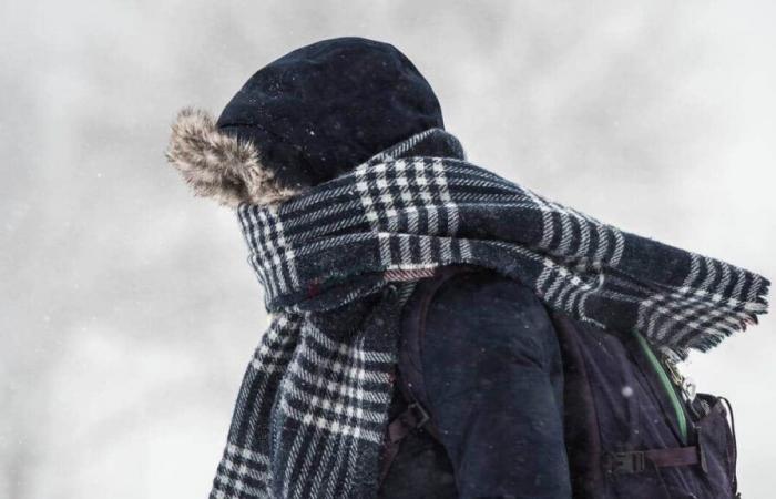 Cold wave: Quebec is preparing