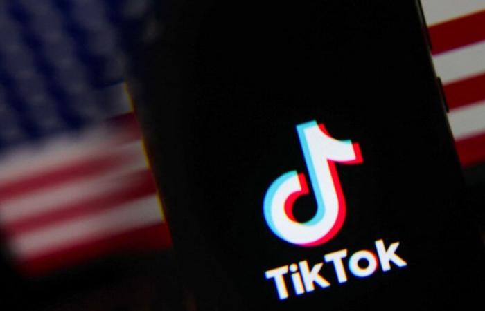 TikTok accessible again, political victory for Donald Trump