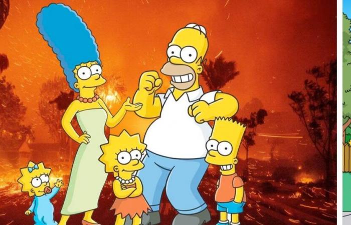 with his support after the fires, Matt Groening causes controversy