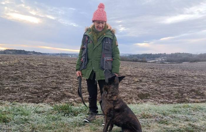 VIDEO. “With one look, I know if she found a truffle or not”: we followed a digging competition