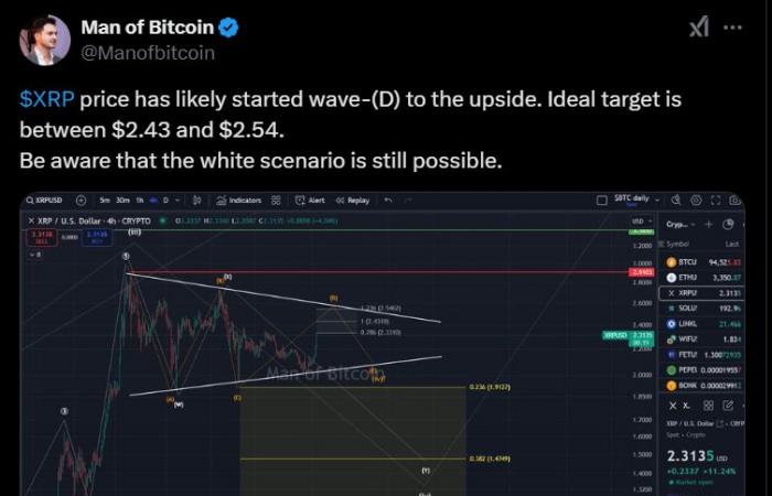 Whale Activity Suggest Major Price Move Ahead For XRP Amid Plutochain Surge