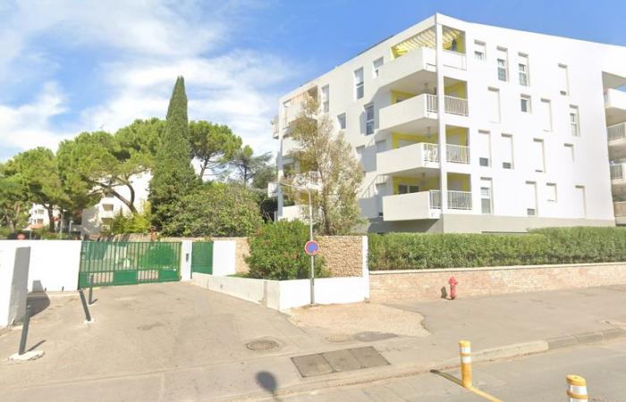 A neighbor burst into their home in the middle of the night and stabbed them: a couple violently attacked in Montpellier