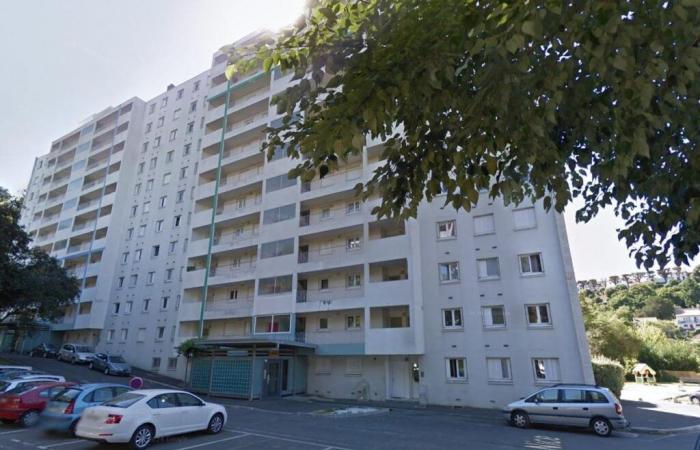 Angoulême: a barbecue on the balcony, seven people poisoned by carbon monoxide in Bel-Air