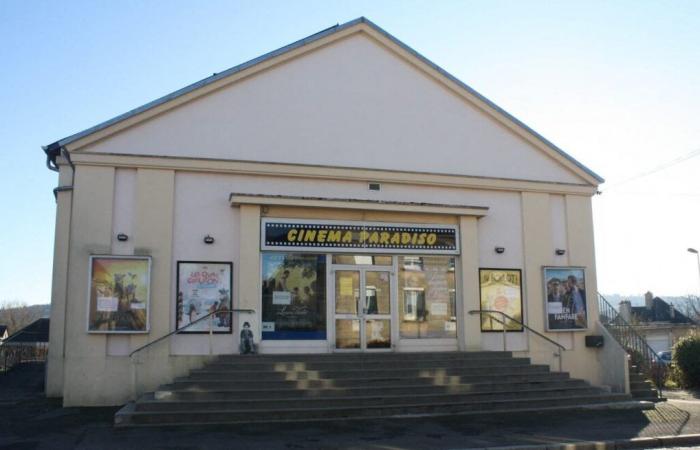 which films were the biggest hits at the Aunay-sur-Odon cinema in 2024