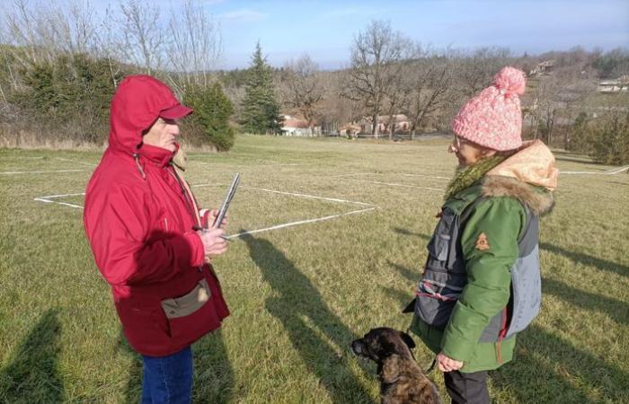 VIDEO. “With one look, I know if she found a truffle or not”: we followed a digging competition