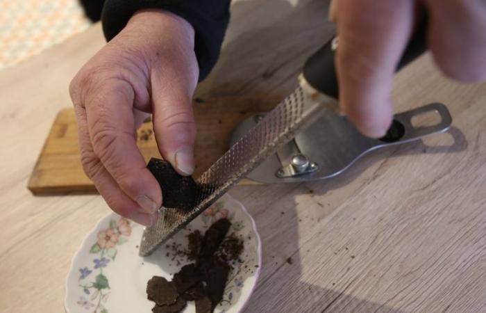 A beautiful Aude with truffle for the 30th anniversary of Ampélofolies de Moussoulens