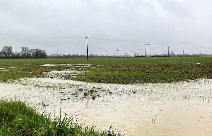 Excess rainfall in Orne will have catastrophic impacts on harvests