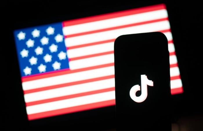 TikTok shuts down US app – and hopes for Trump | policy