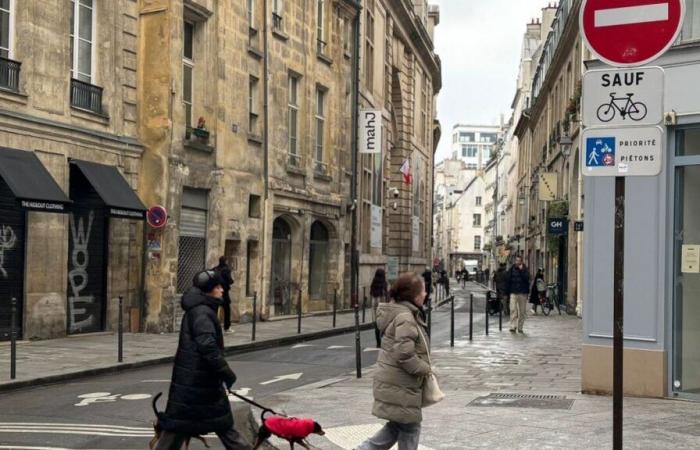 In the Marais, traffic halved in one year in certain streets since the new traffic plan