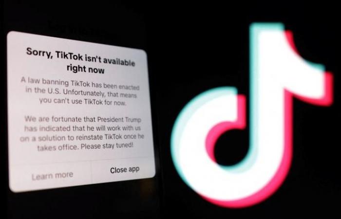 TikTok's crazy day in the United States, blocked then restored