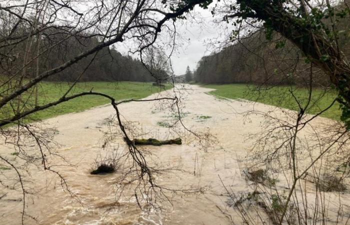 Excess rainfall in Orne will have catastrophic impacts on harvests