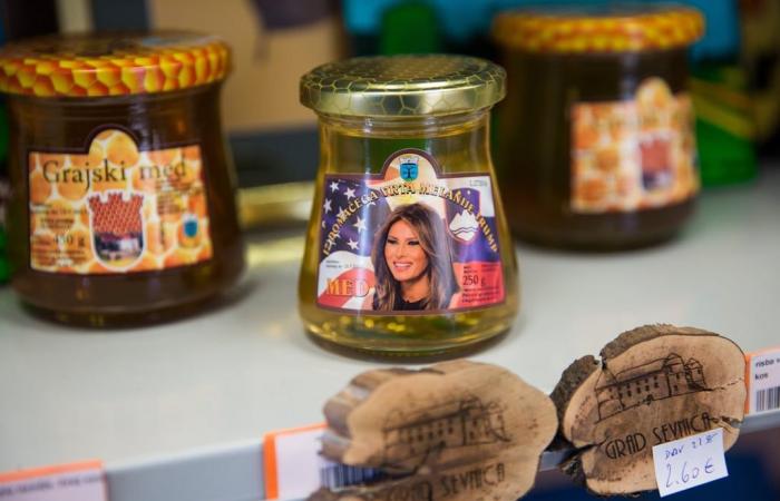 Inside Melania Trump’s humble Slovenian hometown: a tourist destination since Donald Trump was first elected president in 2016, Sevnica now has a statue and salami dedicated to the FLOTUS