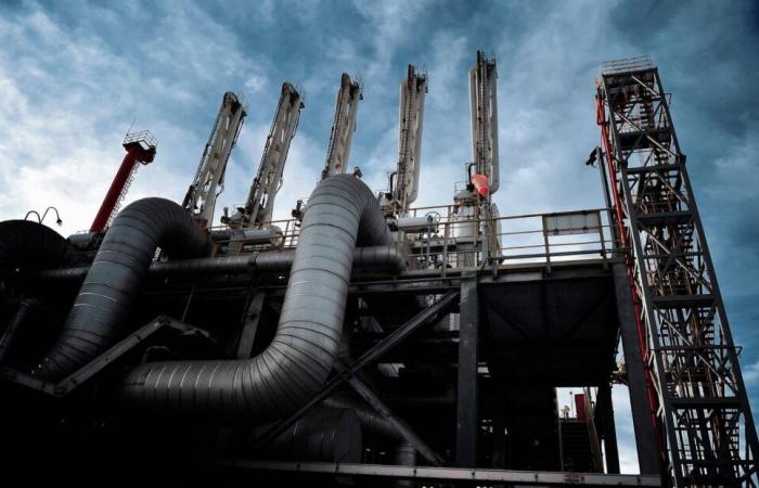 Algeria at the heart of European interests for gas, according to a British firm