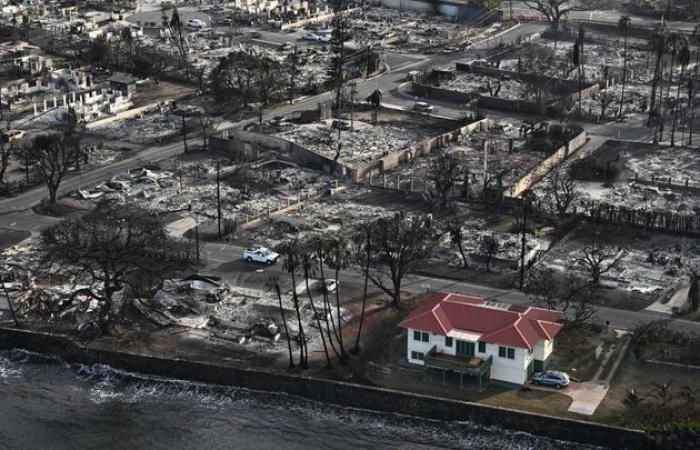 Renovations, garden cleaning, building permits… After the Los Angeles fires, how can urban areas be adapted to megafires?