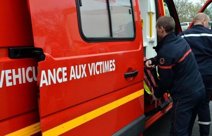 A tree falls on him, a sixty-year-old dies in Loire-Atlantique