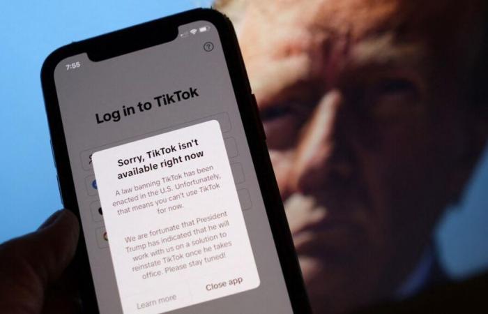 TikTok: the application will be reactivated in the United States after Donald Trump’s promise to suspend its ban