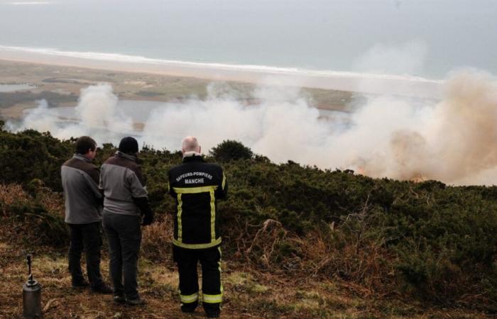 Why did part of the Hague moor burn this Sunday?