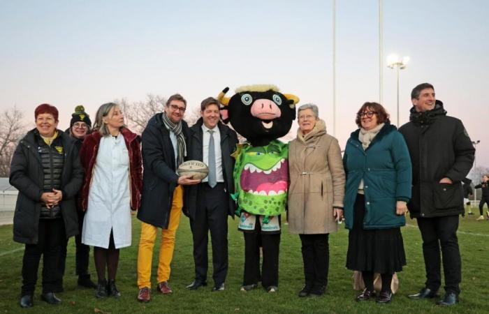 the vaccination campaign against papillomavirus launched in Landes rugby clubs