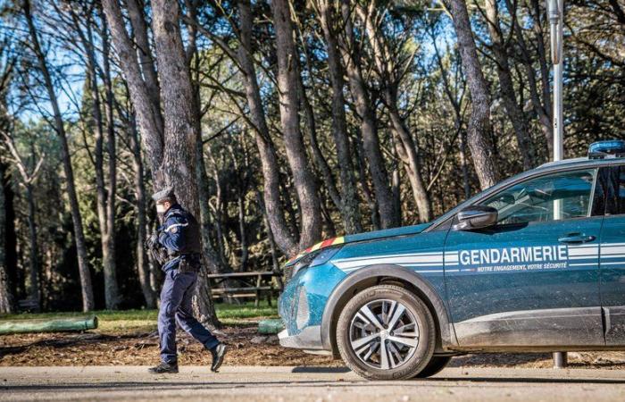 Savage attack on the jogger in Vergèze: the suspect still in police custody could be indicted this Sunday for attempted murder