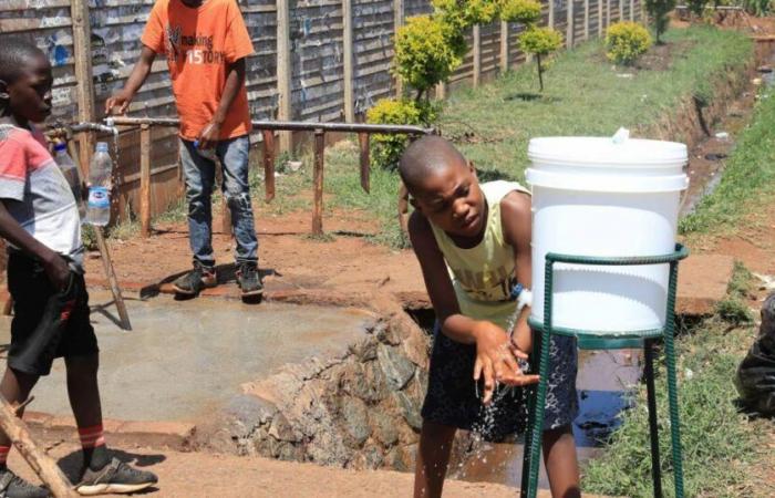 Mayotte. An imported case of cholera identified by health authorities