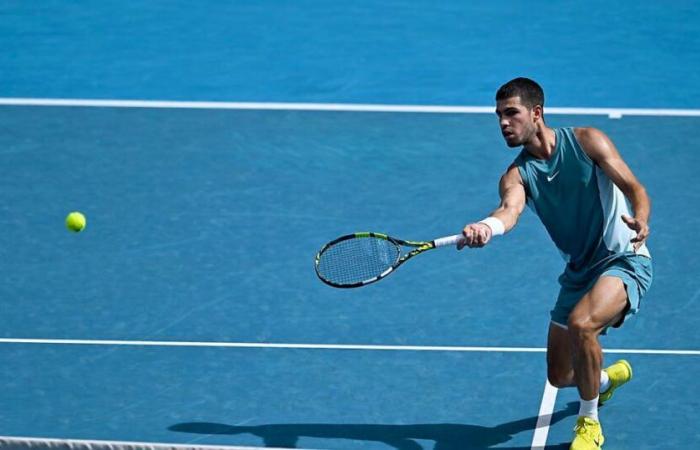 Australian Open: Alcaraz ahead of possible quarter-final clash with Djokovic