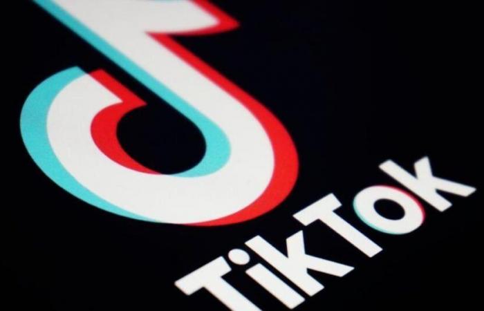 TikTok voluntarily shuts down service in the U.S. as divest-or-ban law takes effect