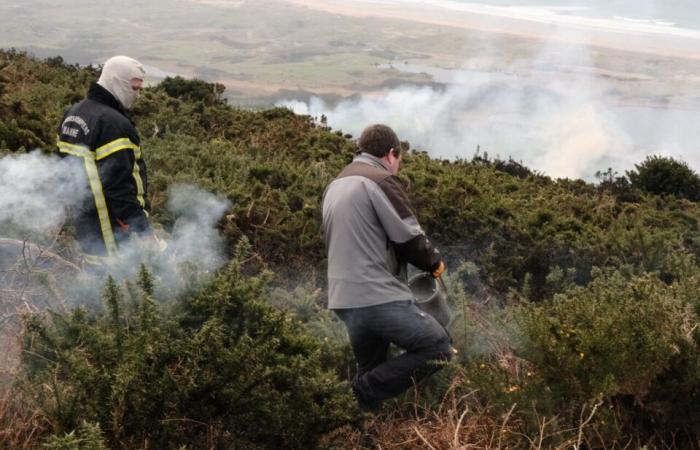 Why did part of the Hague moor burn this Sunday?