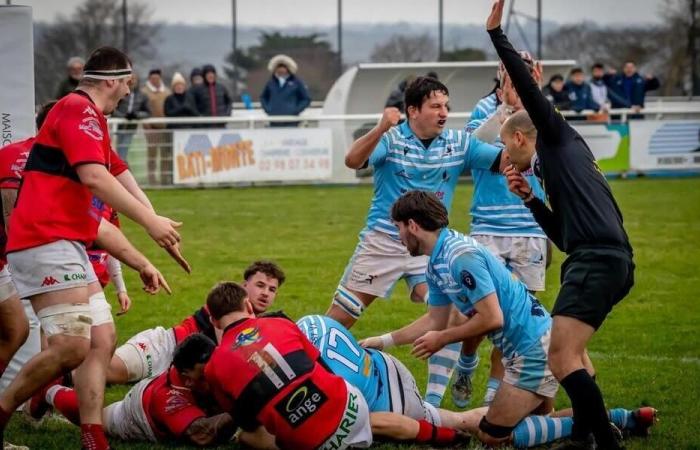 Finistère-North – Rugby. Federal 3: Plouzané's self-sacrifice ended up paying off against Trignac