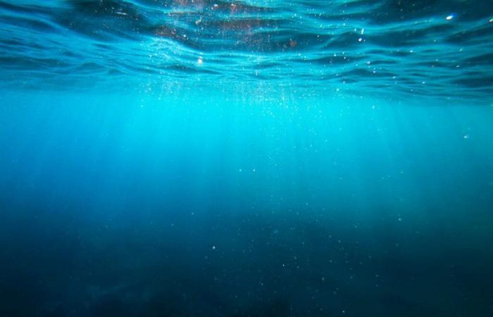 the Pacific reveals its secrets thanks to a unique scan