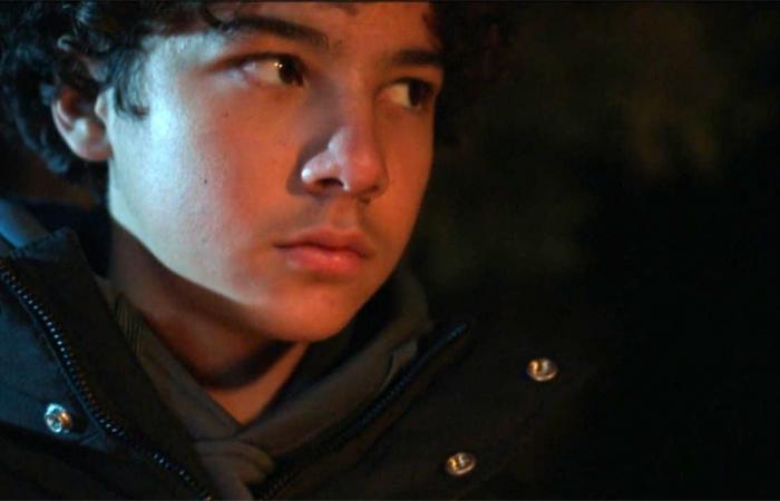 Liam “Libra” victim of a macabre trap, the identity of the Zodiac finally revealed – Tomorrow belongs to us January 23, 2025 (episode 1864 – full DNA summary)