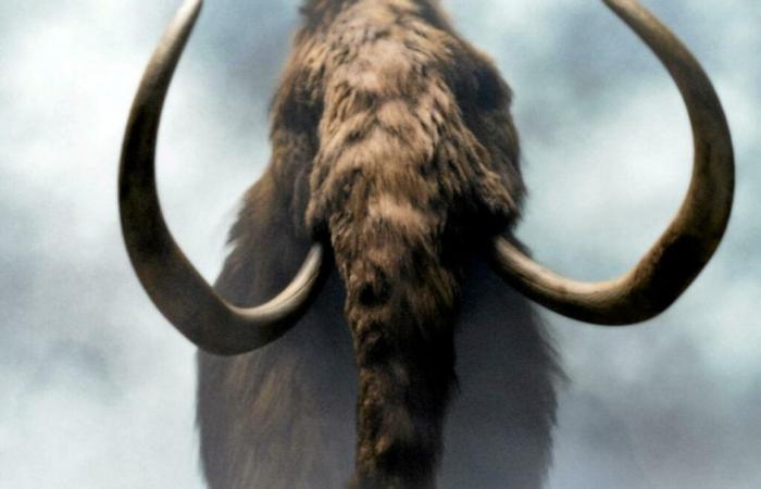 Scientists close to resurrecting certain extinct species?