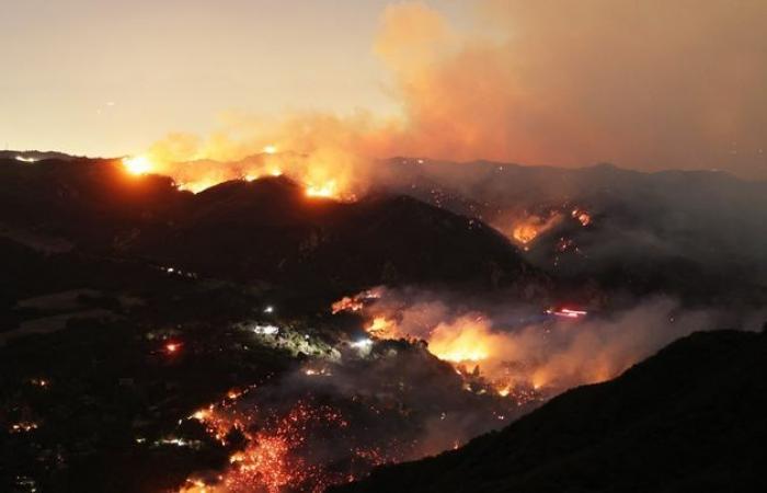 Renovations, garden cleaning, building permits… After the Los Angeles fires, how can urban areas be adapted to megafires?