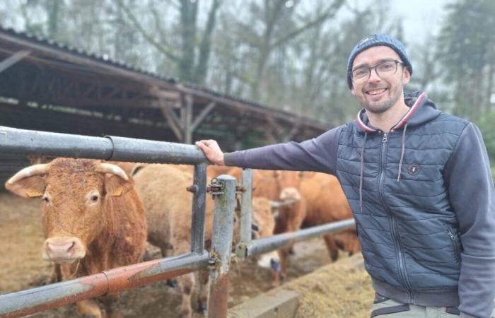 at 26, the son of a former Love candidate is in the meadow, is finally a farmer