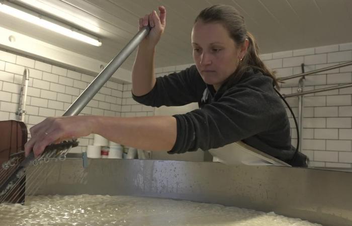 a former ski champion, she produces an extremely rare cheese in Savoie