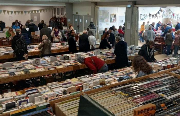 Millery. Comics, mangas, novels… Here we go again for the 17th book fair