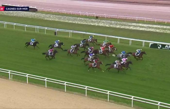 PAUL-ANTOINE PULVENIS DE SELIGNY PRICE – CAGNES-SUR-MER – 01/20/2025: starters, predictions and results in videos – Race 8