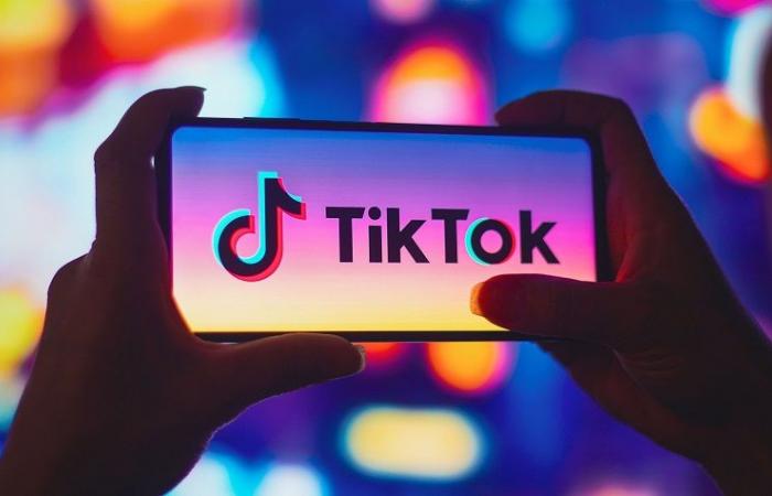 Short suspension of TikTok in the United States or the geopolitics of digital