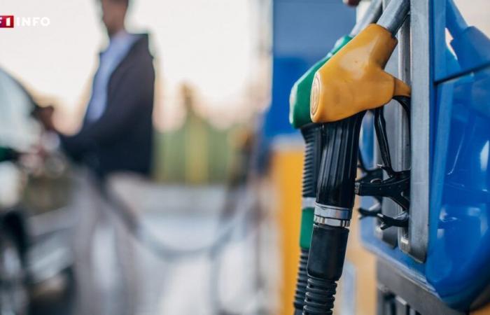 Gasoline and diesel prices at their highest since last summer