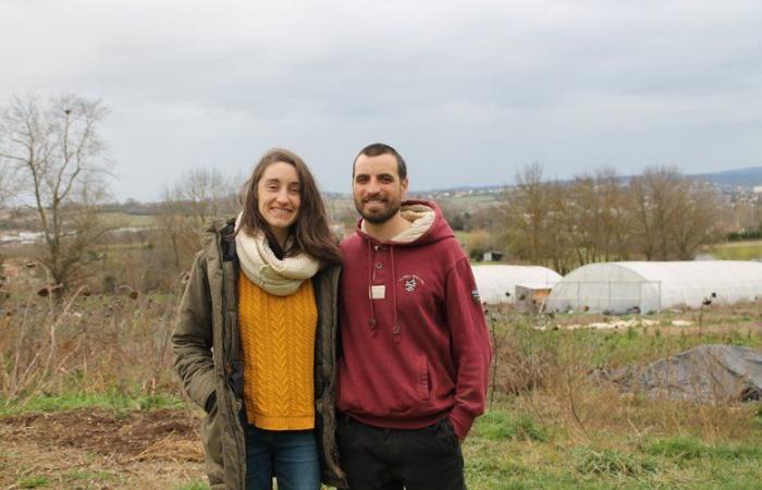 A couple of market gardeners’ call for help to beat Lyme disease