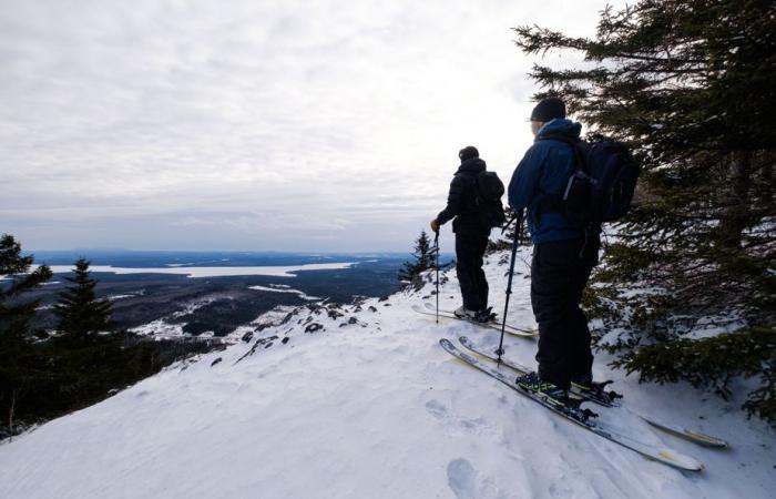 Skiing at the door | Amazing Mount Adstock