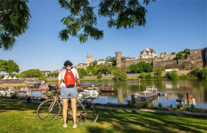 Maine-et-Loire. Angers will invest 8 million euros to develop cycling