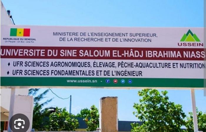 Sine Saloum University: The SAES Section decrees a 48-hour strike