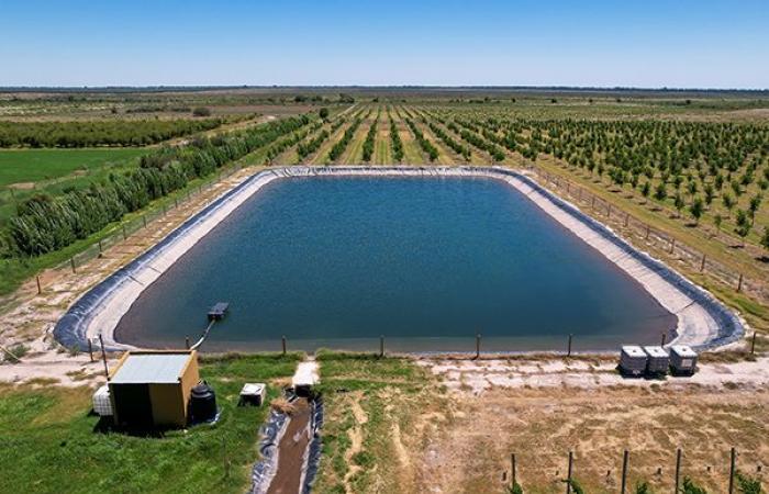 France Stratégie expects strong development of irrigation