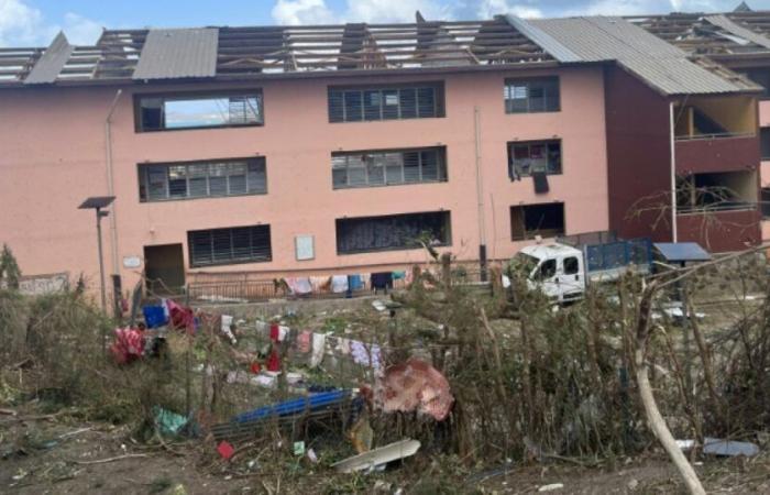 Mayotte: five weeks after the cyclone, teachers return to school: News