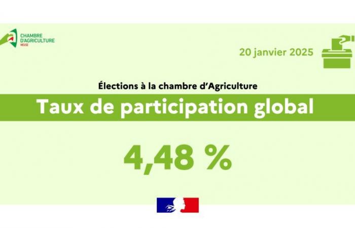 Participation rate on January 20 – Elections of the Meuse Chamber of Agriculture – All the news – News