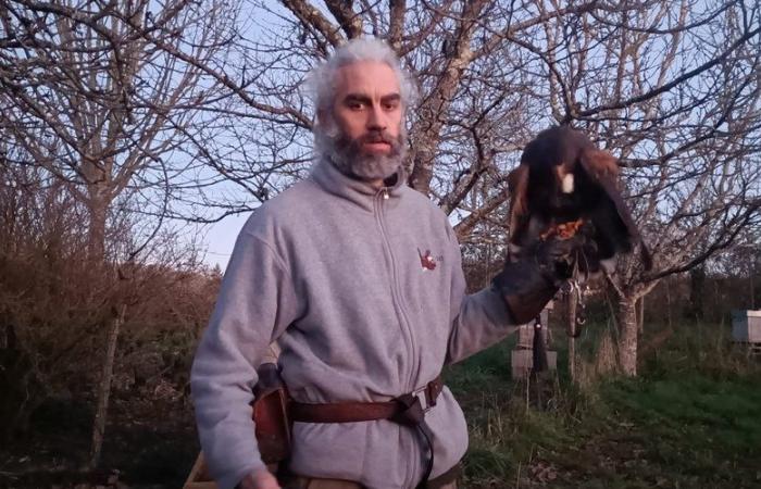 VIDEO. African great owl, American buzzards, tawny eagle… This falconer has around ten birds of prey in his garden and hunts with them