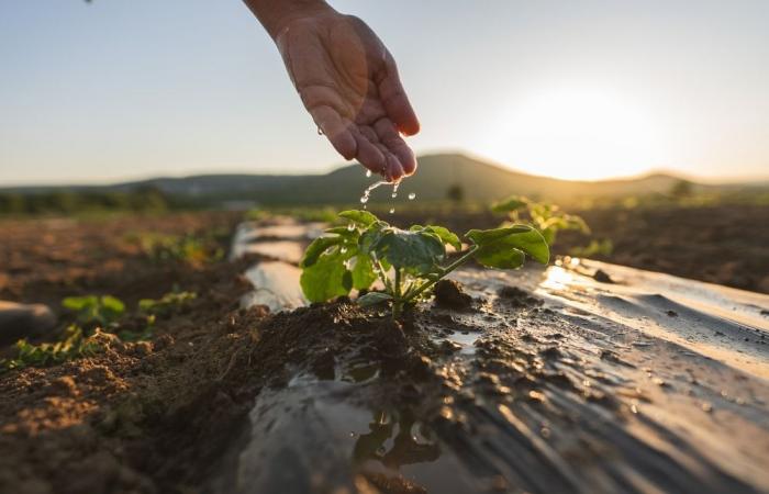 The future of water in France: three scenarios for 2050