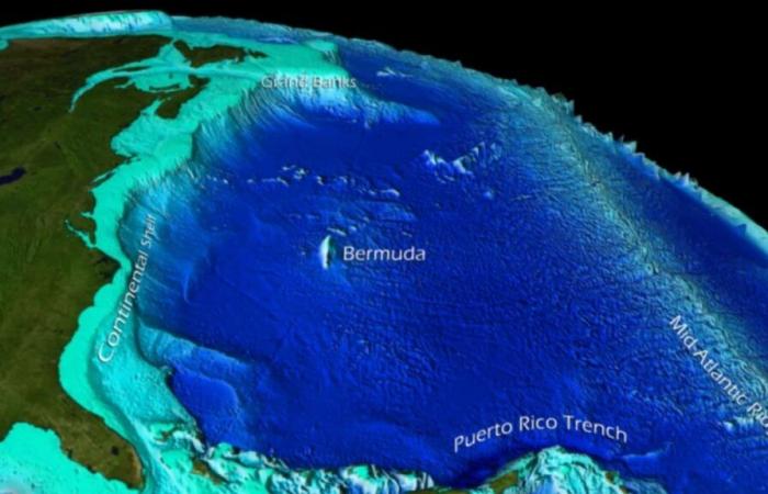 historic discovery under the Pacific after 200 million years