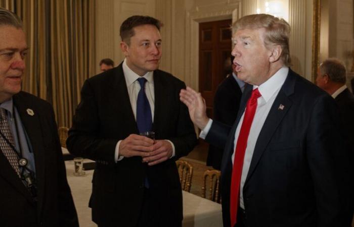 Elon Musk and the MAGA, or the marriage of the carp and the rabbit – L’Opinion