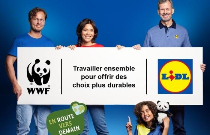 In collaboration with WWF, Lidl reaffirms its commitment to…